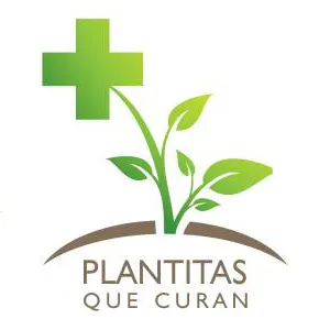 PLANTITAS QUE CURAN (Fitoterapia y remedios naturales)